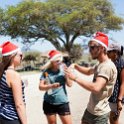 TZA SHI SerengetiNP 2016DEC24 LookoutHill 011 : 2016, 2016 - African Adventures, Africa, Date, December, Eastern, Lookout Hill, Month, Places, Serengeti National Park, Shinyanga, Tanzania, Trips, Year